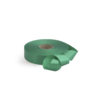 Nastro Liscio 31 mm - immagine 13