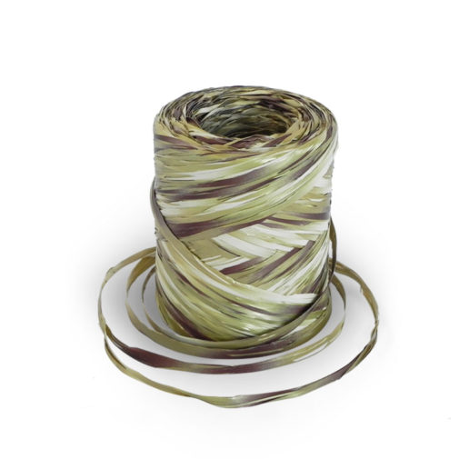 Nastro di Rafia Multicolore 301