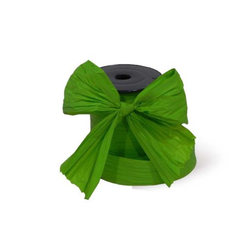 Nastro decorativo Verde
