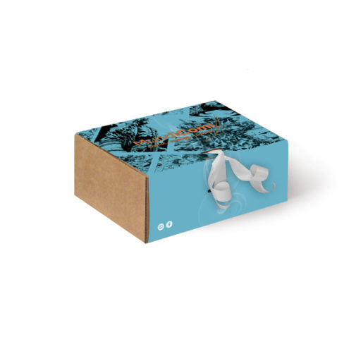 Scatola con Fascia di Carta 20x15x08 cm